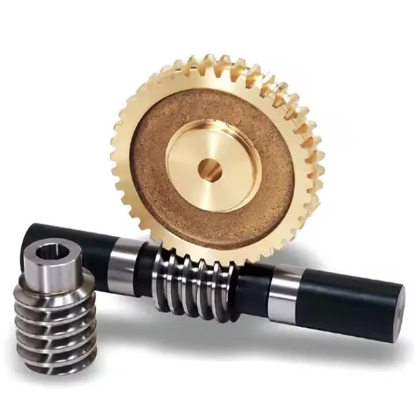 Duplex worm gear